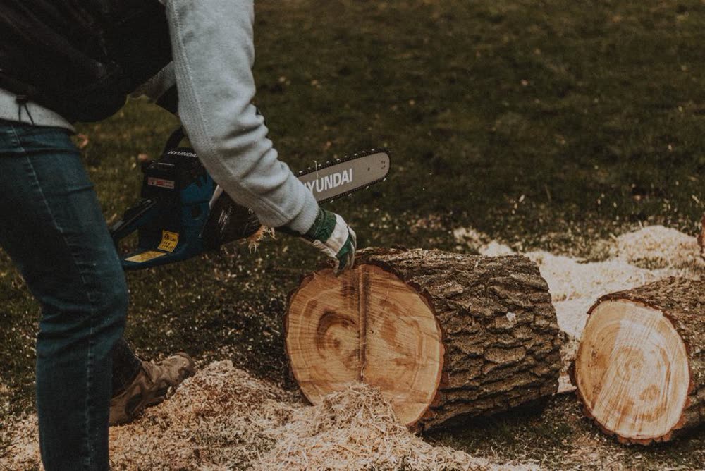 Storm damage cleanup